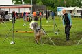 2013-05-19 um 13-57-23